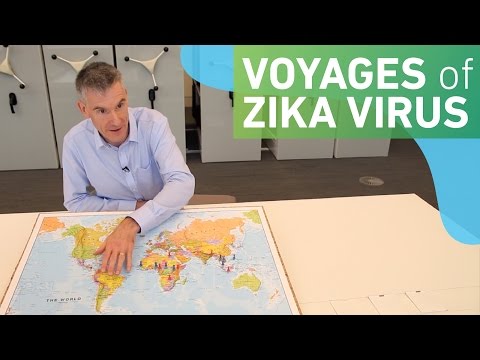 The voyages of Zika virus