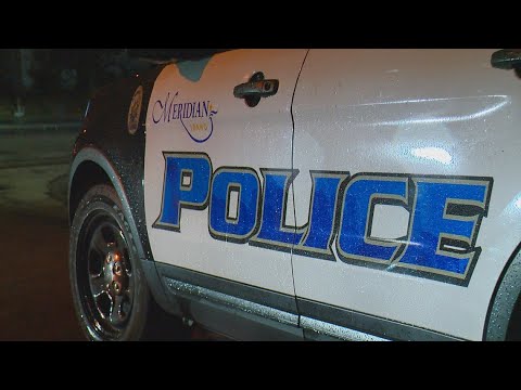 Man sentenced for punching Meridian Police officer, attacking two others