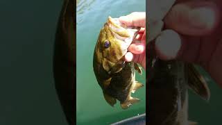 平瀬彪 撮影  桧原湖