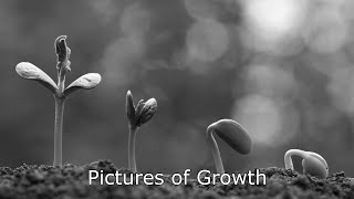 “Pictures of Growth” (June 25, 2023)