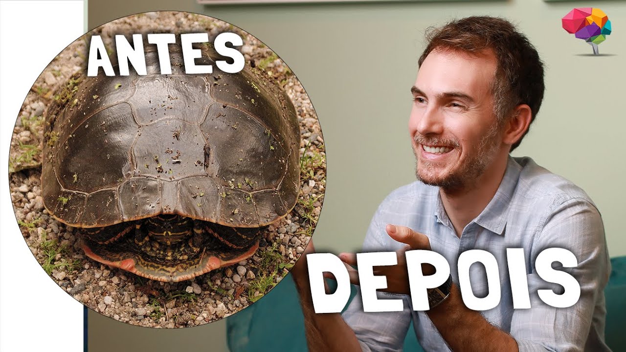 Como Ajudar seu Paciente com Timidez ou Fobia Social