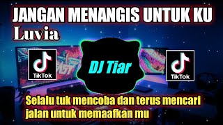 Download lagu DJ JANGAN MENANGIS UNTUK KU REMIX VIRAL TIKTOK FULL BASS mp3