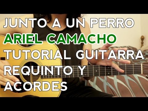Junto A Un Perro - Ariel Camacho