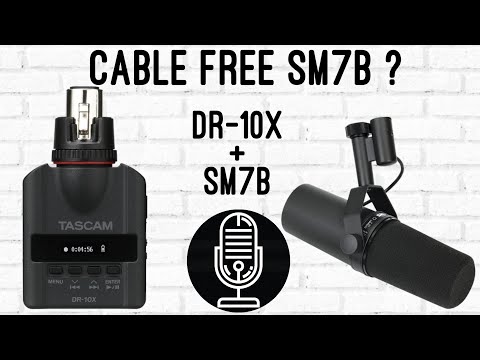 TASCAM DR-10X Mini Portable Recorder with XLR Female Attachment 2015 - Present - Black image 11