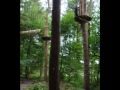 This is Dangerous. Go Ape 