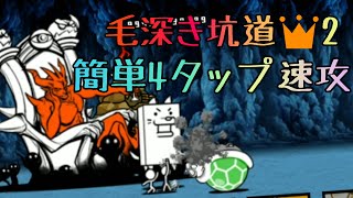 毛深き坑道 星2(王冠2) お手軽速攻28.8秒  ところてん金鉱