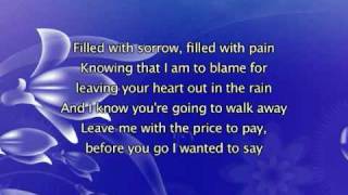 Jonas Brothers - Sorry [with lyrics]