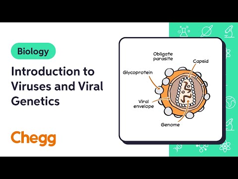 Introduction to Viruses and Viral Genetics | Biology