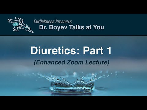 Diuretics Part 1: A little anatomy