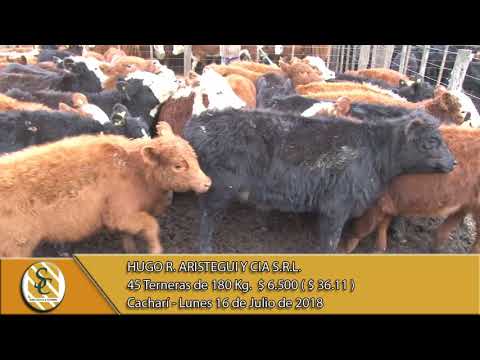 16-07-18 Venta de Hembras - Hugo R. Aristegui y Cía. S.R.L. - Cacharí