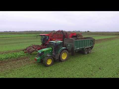 Harvesting and Loading Sugar Beet