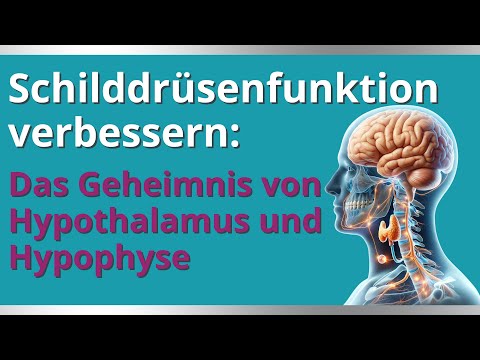 Schilddrüsenfunktion verbessern: Die Rolle von Hypothalamus und Hypophyse und was du tun kannst