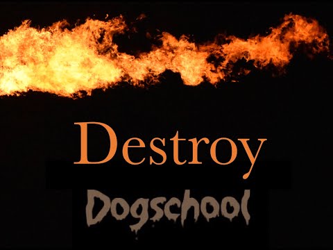 ”Destroy”  Dogschool - Nittoku Inoue official Music Video from Japan