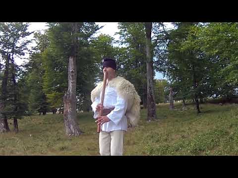 VASILE CRISAN - MELODII BATRANESTI DIN IDICEL ( CAVAL)