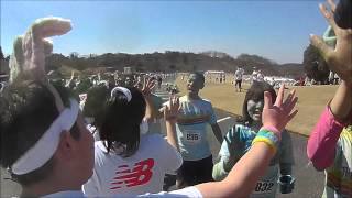 preview picture of video '［THE COLOR RUN JAPAN Tokyo 2014 1st］'