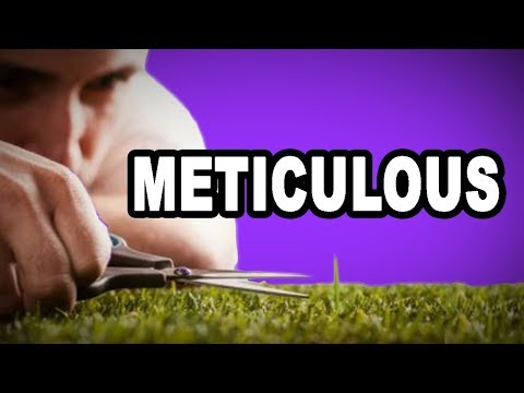 Learn English Words: METICULOUS - Meaning, Vocabulary with Pictures and Examples