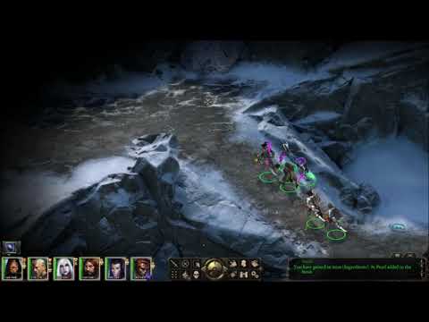 Lets Play Pillars of Eternity Part 33 or End of White March with a Moon and some Dragons