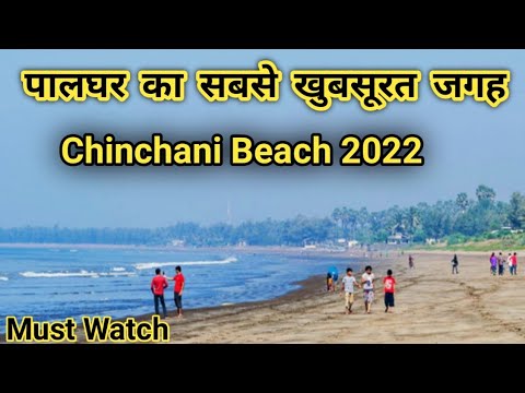 Chinchani Beach| Top Beach in Tarapur Palghar| चिंचणी