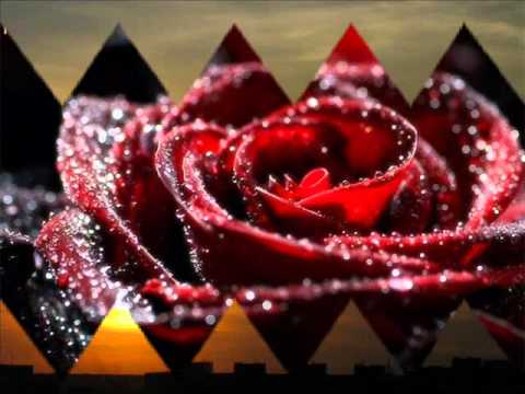 Marcelut Gavriluta-Am crezut in tine