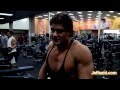 Jeff Seid Shoulder Blaster Workout Preview- www.Jeffseid.com