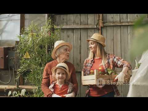 Trabajo digno en Dolores, Tolima  Realidad 2025 05 25