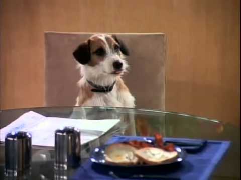 FRASIER Funny Clips - Best Of Frasier 6 --- Eddie's staring at me (1-2-3) Kootallica S01E02