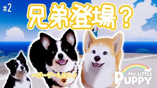 ボングの兄弟登場！？可愛すぎるワンちゃんたちの大冒険『My Little Puppy』実況#2