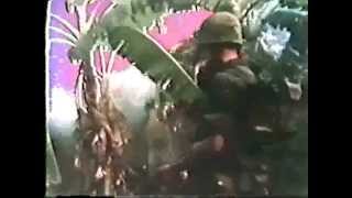 Home music video 1994 Y.A.P. - The Reality Of Nature