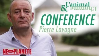 Le message est dans le chant - Pierre Lavagne, bio-acousticien marin qui travaille avec les baleines