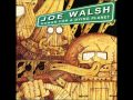 Vote for Me - Joe Walsh