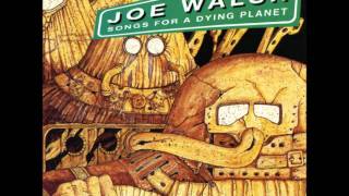 Vote for Me - Joe Walsh