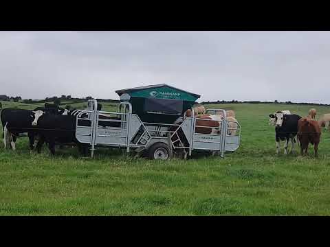 Solar Automatic robot rfid, Meal / Ration feeder - Image 2