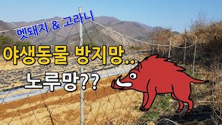 야생동물 침입 방지망.. 노루망 해태망 설치 장단점소개 멧돼지 고라니 피해방지