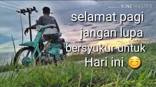 Download lagu Story wa c70 mp3 Download lagu Story wa c70 mp3