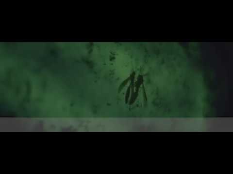 ELVENFOLK | AfterMovie | Ritual Xquizo | PR | 2020