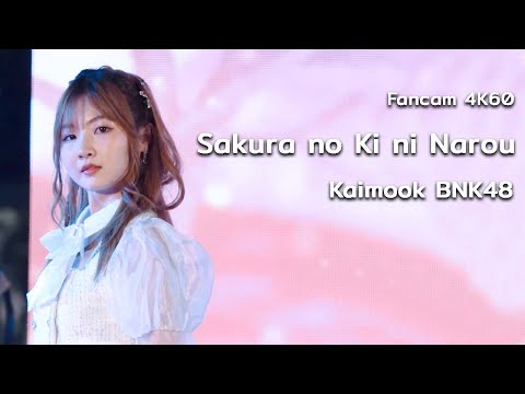 [Fancam4K60] 'Sakura o Ki ni Narou' - Kaimook BNK48 | 221120