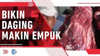 Cara Mudah Mengolah Daging Kurban Sapi dan Kambing Agar Jadi Empuk, Jangan Dicuci!