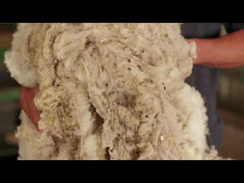 Tekhelet, Spun from the Chilazon