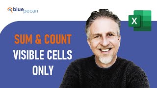 SUM and COUNT Visible Cells Only | Exclude Hidden Cells | SUM or COUNT Filtered Data