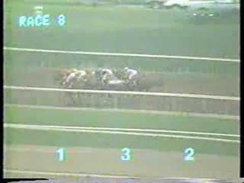 1988 Santa Anita Handicap