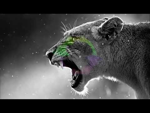 Dustin Que ft. Buffalo Stille