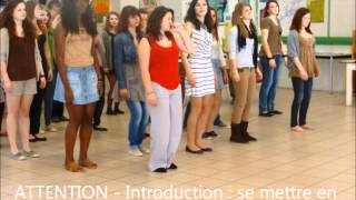 preview picture of video 'Flashmob - Chorège - La  Danse de Tous les Sens.wmv'