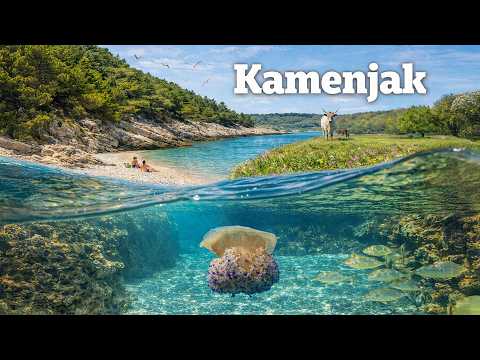Kamenjak (Istra) – divlja obala, orhideje i život pod morem