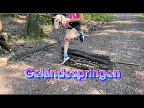 Mit Kiwi über Stock und Stein 🔥🔥