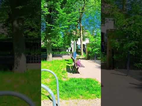 surah Al kawthar #short #shorts #shortvideo #shortsfeed #beautiful #nature #green #park #quran #all