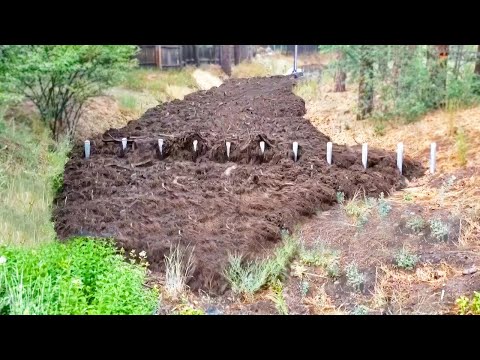 10 Incredible Moments Caught on Camera