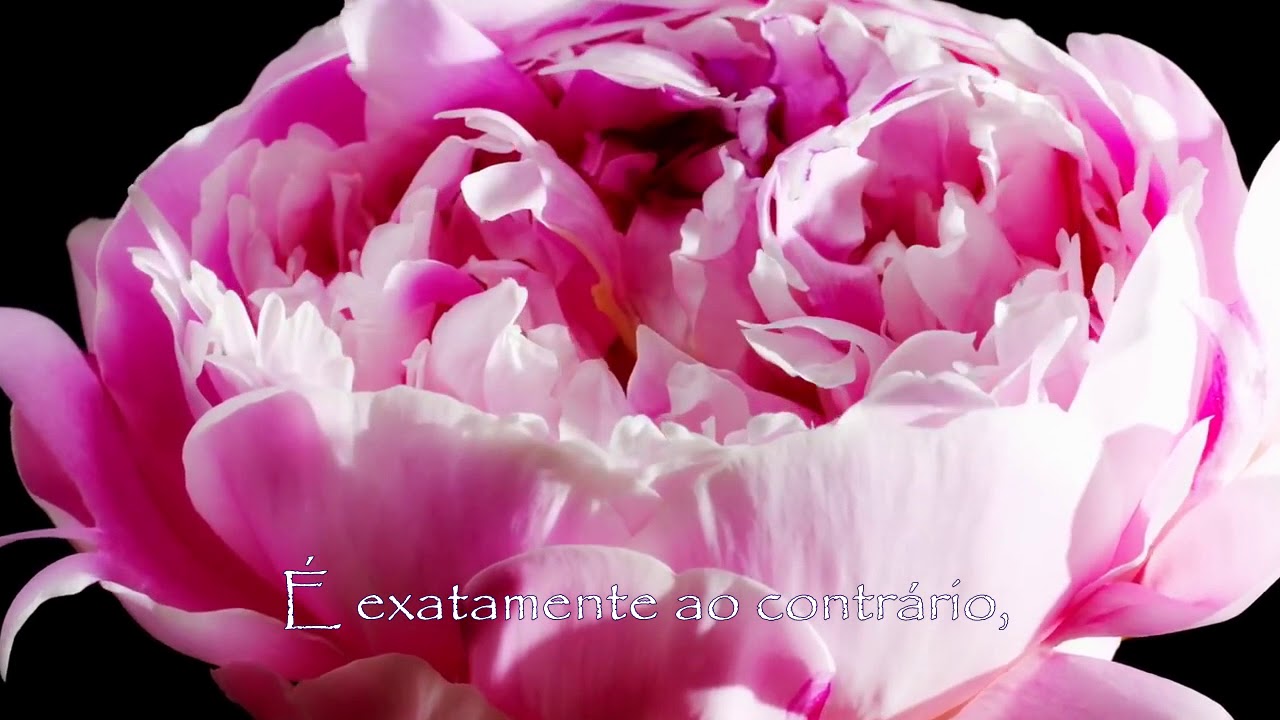 Compreenda QUEM É DEUS (Mecânica Quântica)