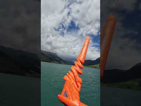 F-One Trigger v2 TEC – der Neue Rebel SLS? #kitesurfing #kite #fonekites #test