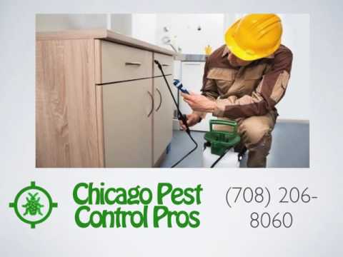 download lagu mp3 mp4 Exterminator Chicago, download lagu Exterminator Chicago gratis, unduh video klip Exterminator Chicago