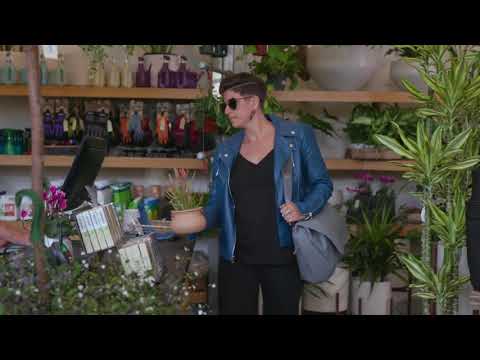 Everyday Messenger Feature Overview